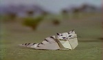 Pierre et le Loup <i><span>(origami)</span></i>